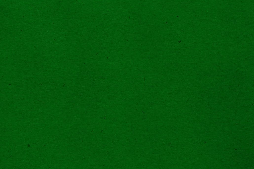green paper - Dalia Lourenço